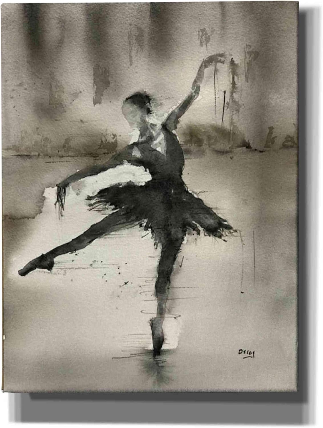 Epic Graffiti 'Without A Danseur' by Oscar Alvarez Pardo, Canvas Wall Art, 12"x16"