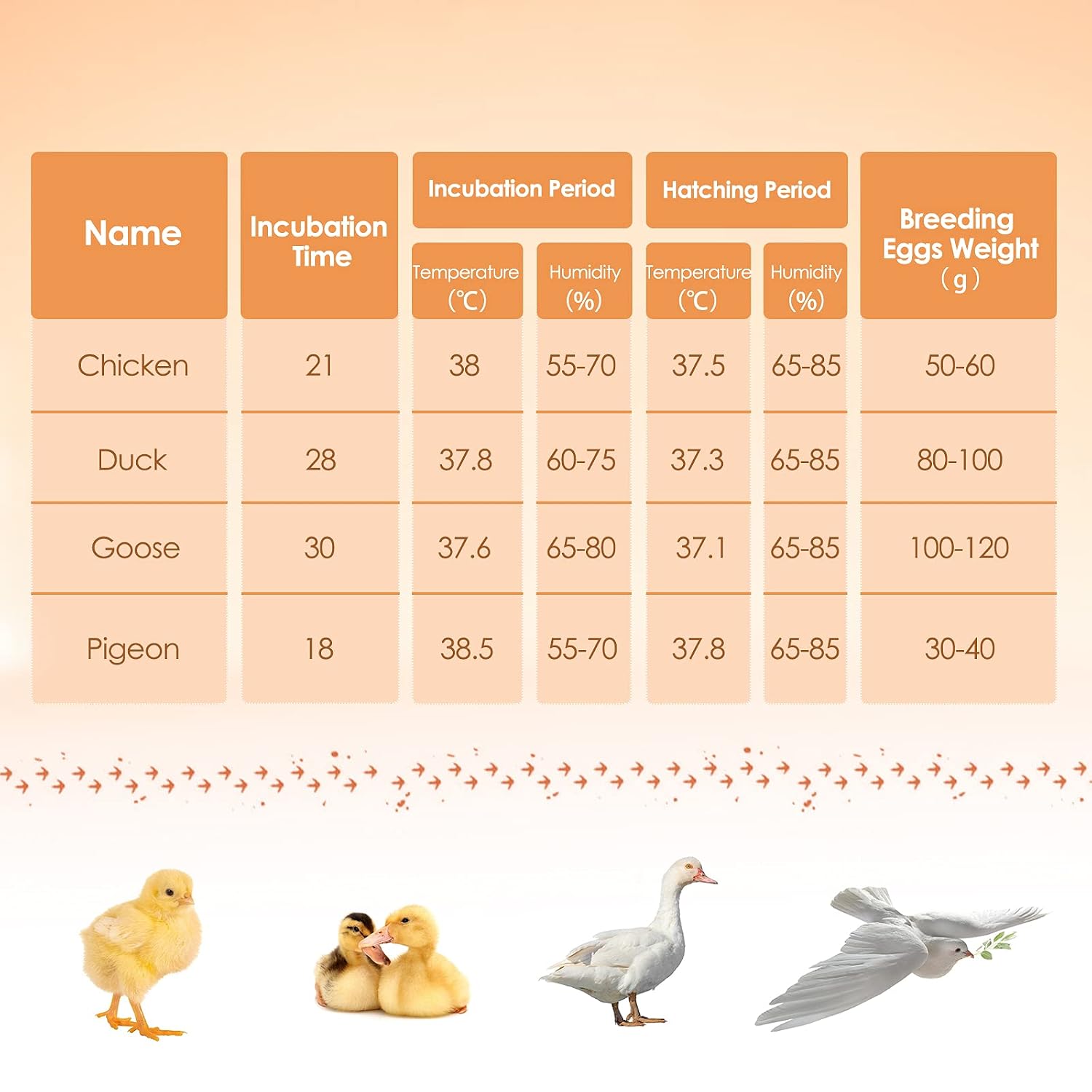 (US in Stock) 24 Eggs Automatic Egg Incubator, LCD Poultry Hatcher with Automatic Egg Turner and LED Egg Candler for Hatching Chicken Duck Goose Pigeon Parrot Quail Eggs