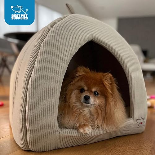 The 11 Best Igloo Dog Houses