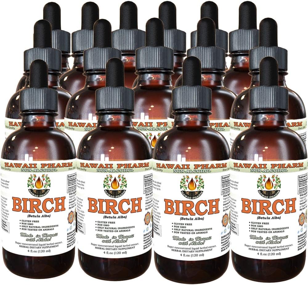 Hawaii Pharm Birch Alcohol-Free Liquid Extract, Birch (Betula Alba) Dried Bark Glycerite Natural Herbal Supplement 2x4 oz