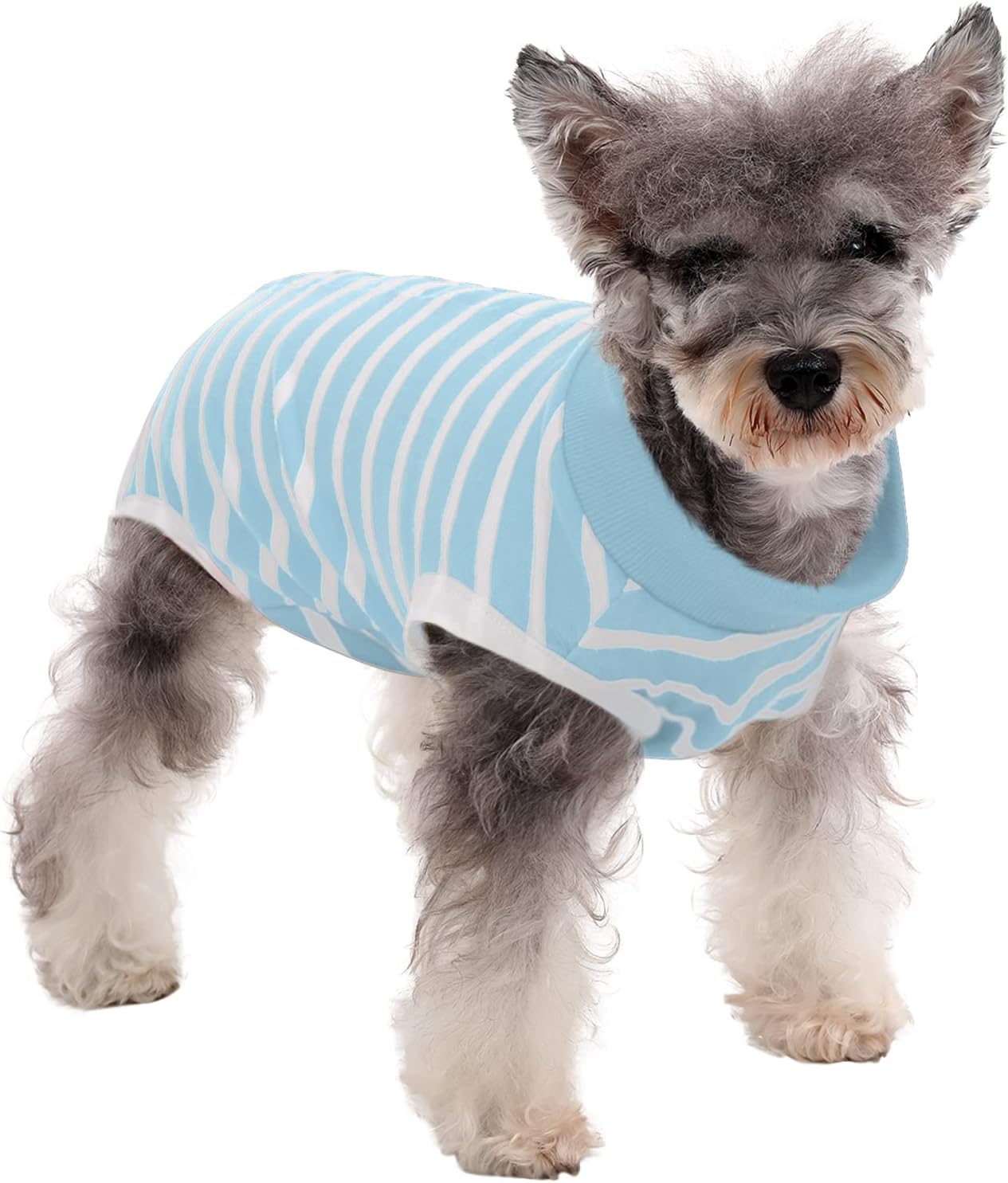 MIGOHI Dog Recovery Suit, Pet Surgical Recovery Shirt
