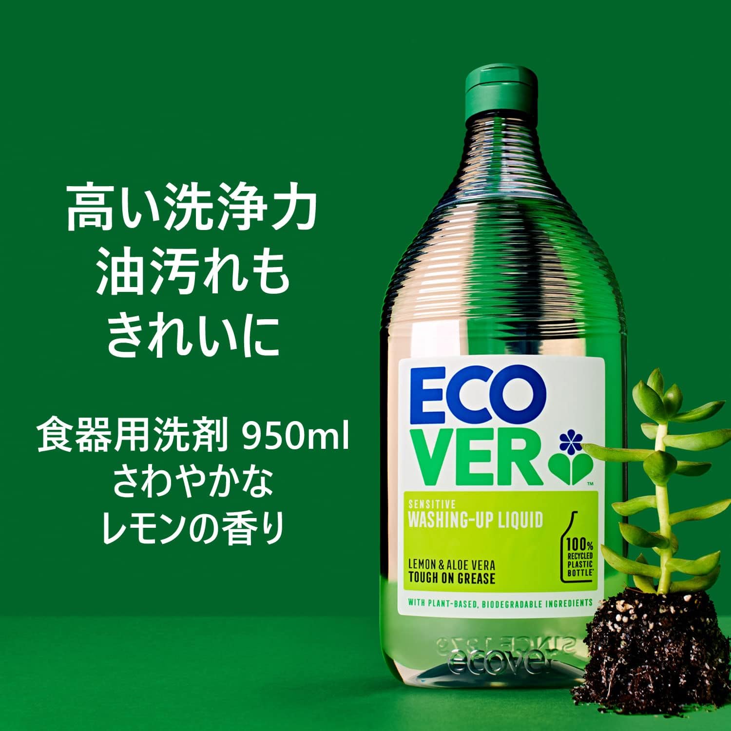 マインド 変装した 防ぐ エコベール 台所 洗剤 始まり 成長 採用する マインド 変装した 防ぐ エコベール 台所 洗剤 始まり 成長 採用する