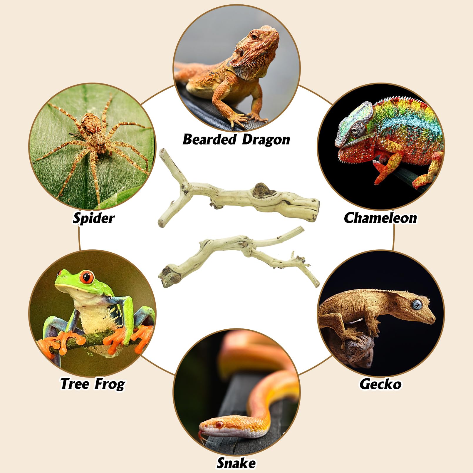 VCEPJH Rama de escalada de serpiente, 3 piezas, madera de reptil, corcho natural, decoración de terrario, accesorios de tanque de dragón barbudo, tronco de árbol para camaleón, gecko, pitón, rana y