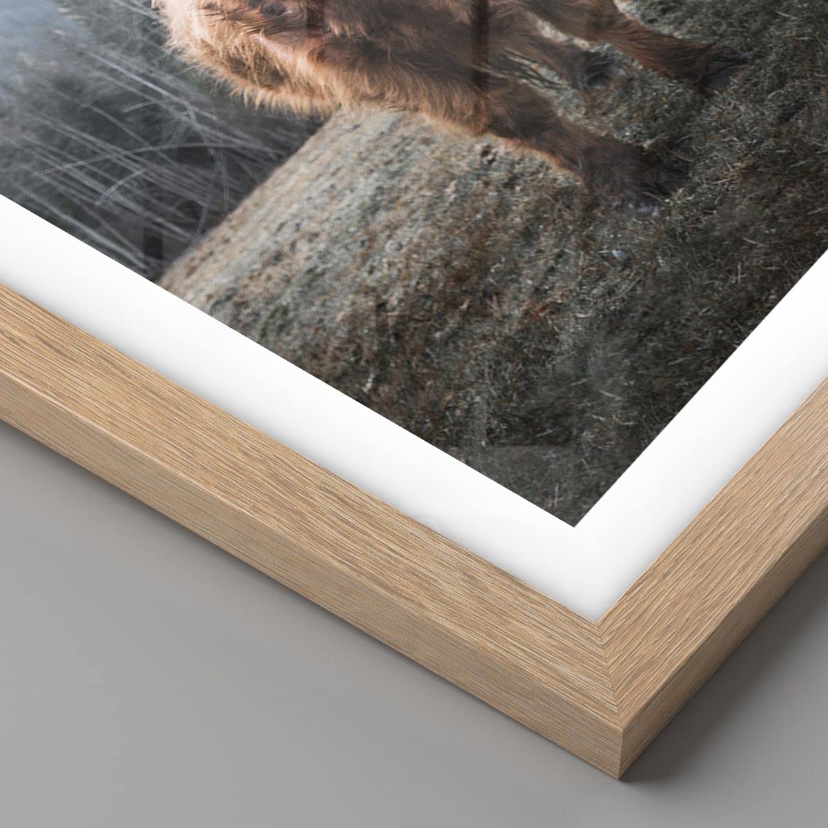 ARTTOR Poster Cadre Chêne 61x91 cm Affiche Nature Animaux - 5188 - P2N
