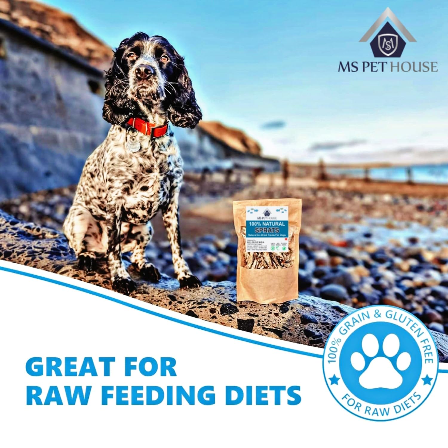 MS Pet House Sprats Dog Treats and Cat Snack 100g - 100% Natural Air-Dried Fish Treat for Dogs and Cats, Healthy Hypoallergenic Raw Pet Food 3