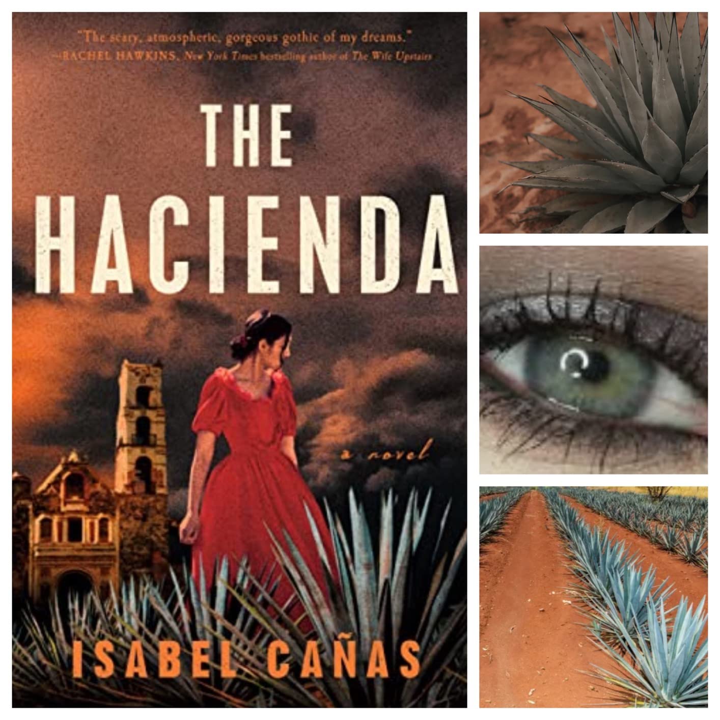 Haunting and beautiful — great for fans of “Mexican Gothic”
