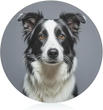 Tempered Glass Border Collie Cutting Board Heat Resistant, Round Chopping Board with Non-slip Feet, Fruit Glass Cutting Boards for Kitchen Counter, Small Chopping Boards 8x8 Inch