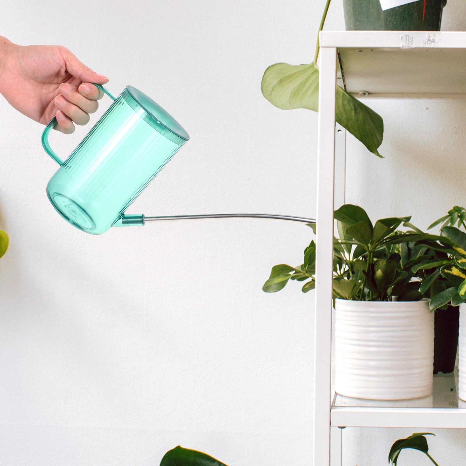 BESTonZON 2ensembles Arrosoir Acier à Bec pour Plantes Intérieur De Vaporisateurs Vert Gris Étoilé pour Irrigation des Et