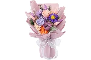 Jtoder Preserved Roses for Delivery Prime