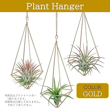 Amazon.co.jp: NOELAMOUR プラントハンガー アイアン エアプランツ