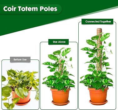Mactoou Moss Pole, 4 PCS 41CM/16 Inches Coir Moss Poles for Cheese Plant, Monstera, Climbing Indoor Plants, Plant Supports Totem Pole with Twist Ties Kit for Plants to Grow Upwards