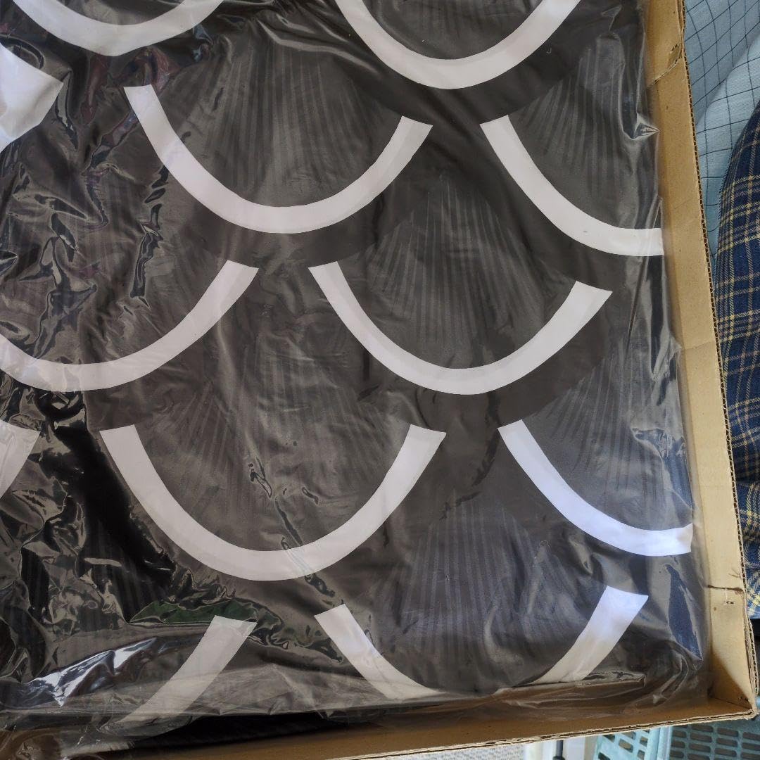 今だけ価格 堺 さ月鯉のぼり 高儀 35号セット 作品 - may5day