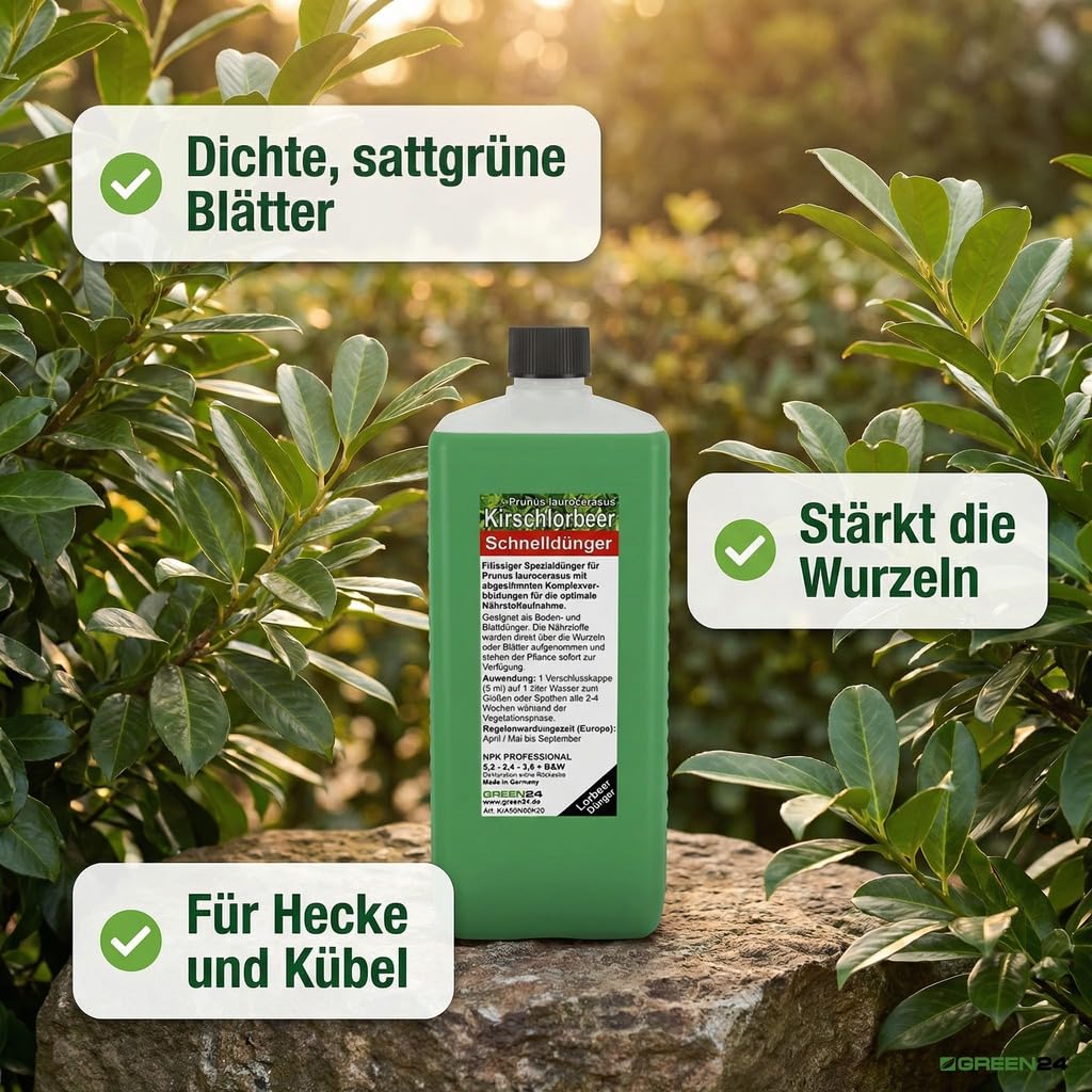 Kirschlorbeer Dünger XL Profi Linie 1 Ltr. zum düngen von vielen Prunus laurocerasus Pflanzen, HIGHTECH Flüssigdünger für Lorbeer Hecken und Kübel