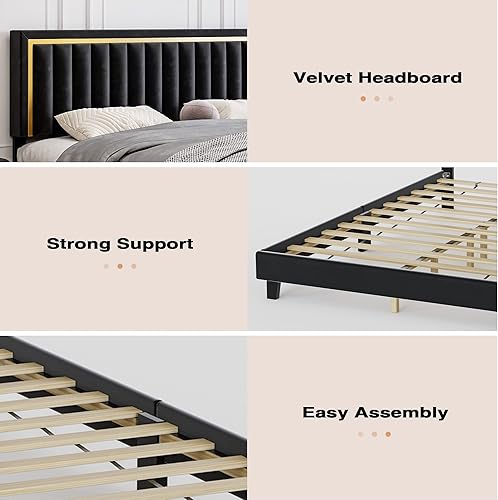 Miniatura 7 de Cama de plataforma tapizada de terciopelo tamaño King con diseño de ribete dorado, marco de cama moderno con cabecera ajustable, diseño sin ruido y