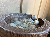 Review Image by Redwoods Reader