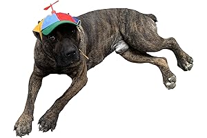 Helicopter Propeller Dog Hat