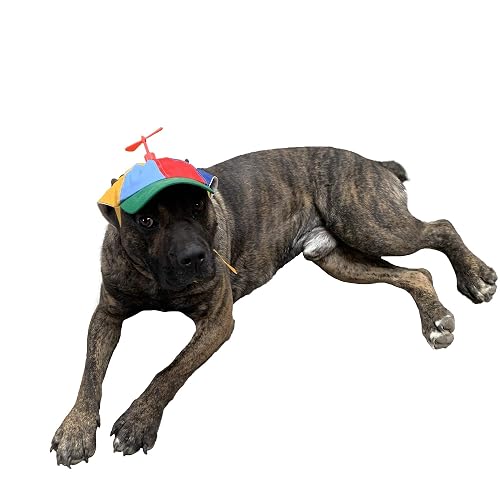 GEANBAYE Sombreros para Perros con Divertida hélice, tamaño y Cuerda, Doble Ajuste
