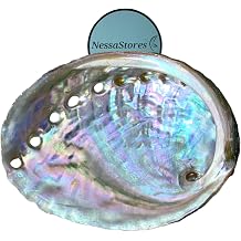 NessaStores 6 Abalone Shells 2.5 to 3.5 Inches | Beautiful All Natural Smudge Bowl - Perfect for Smudge Sticks, Incense Sticks and a Sage Smudge Kit. JC-020