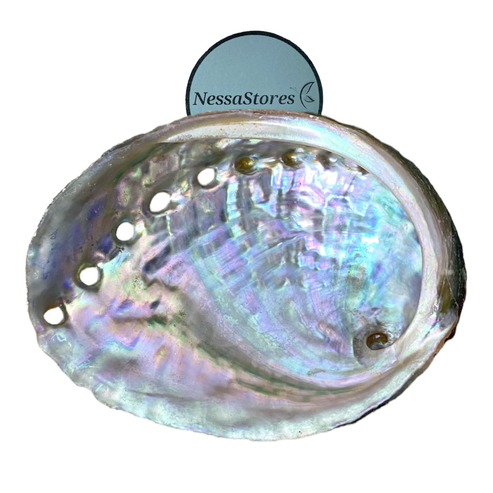 NessaStores 3 Abalone Shells 2.5 to 3.5 Inches | Beautiful All Natural Smudge Bowl - Perfect for Smudge Sticks, Incense Sticks and a Sage Smudge Kit. JC-020