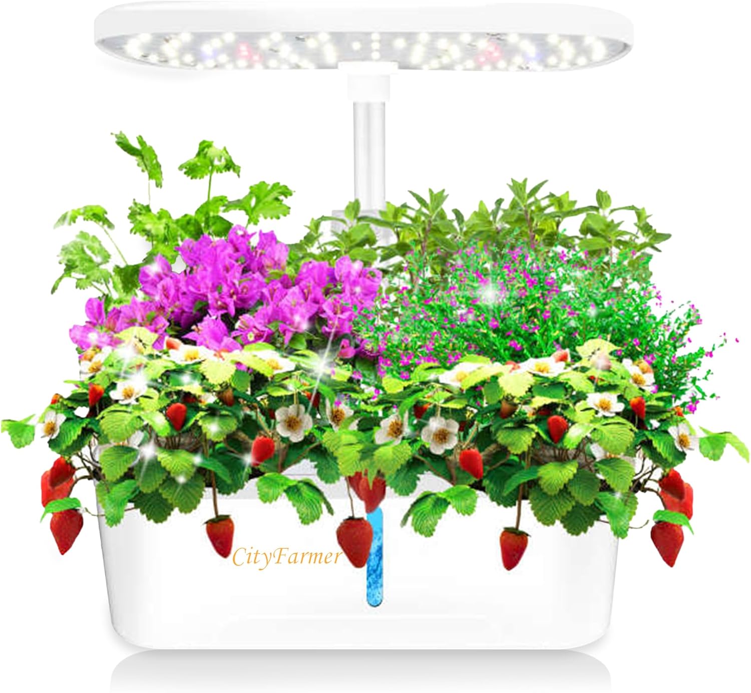 Cityfarmer Indoor Hydroponics Growing