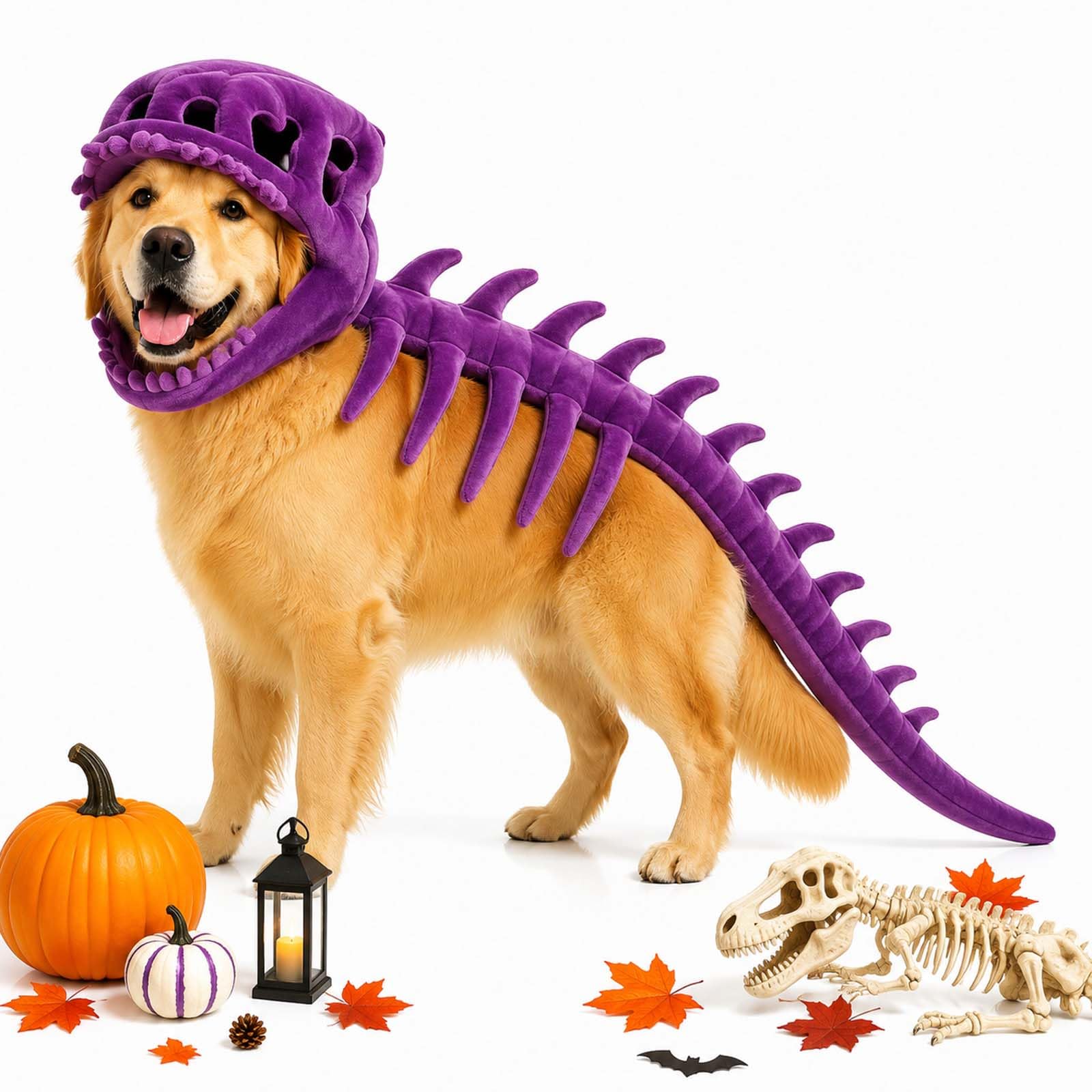 Pet Dinosaur Costume, 31.4inch Halloween 3D Skeleton Design Costume for Medium To Large Dogs, Realistic Dino Outfit For Pet Cosplay Party Family, Round and Chubby Body,Adorably Silly Purple