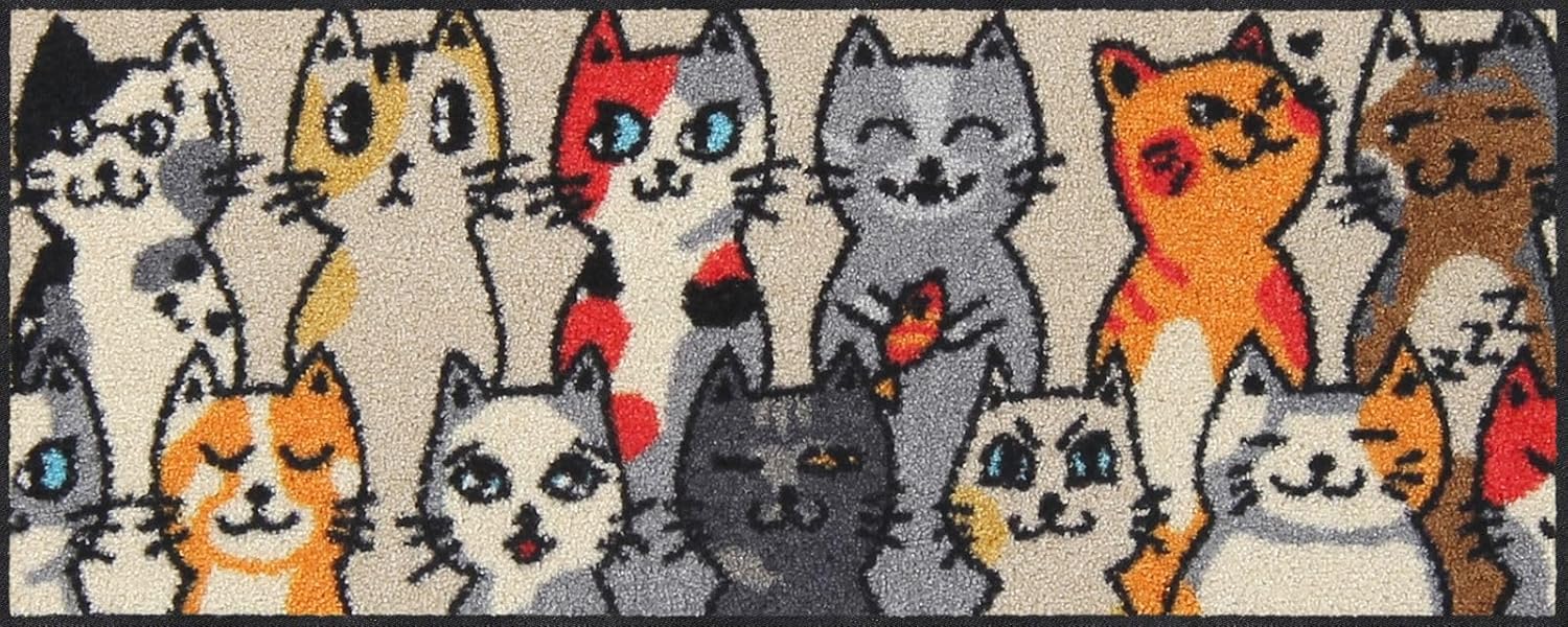 Salonloewe Schuhparkplatz Kitty Individuals 030 x 075 cm Doormat Clear Mat Outside Door Mat Indoor Dust Trapper Outside