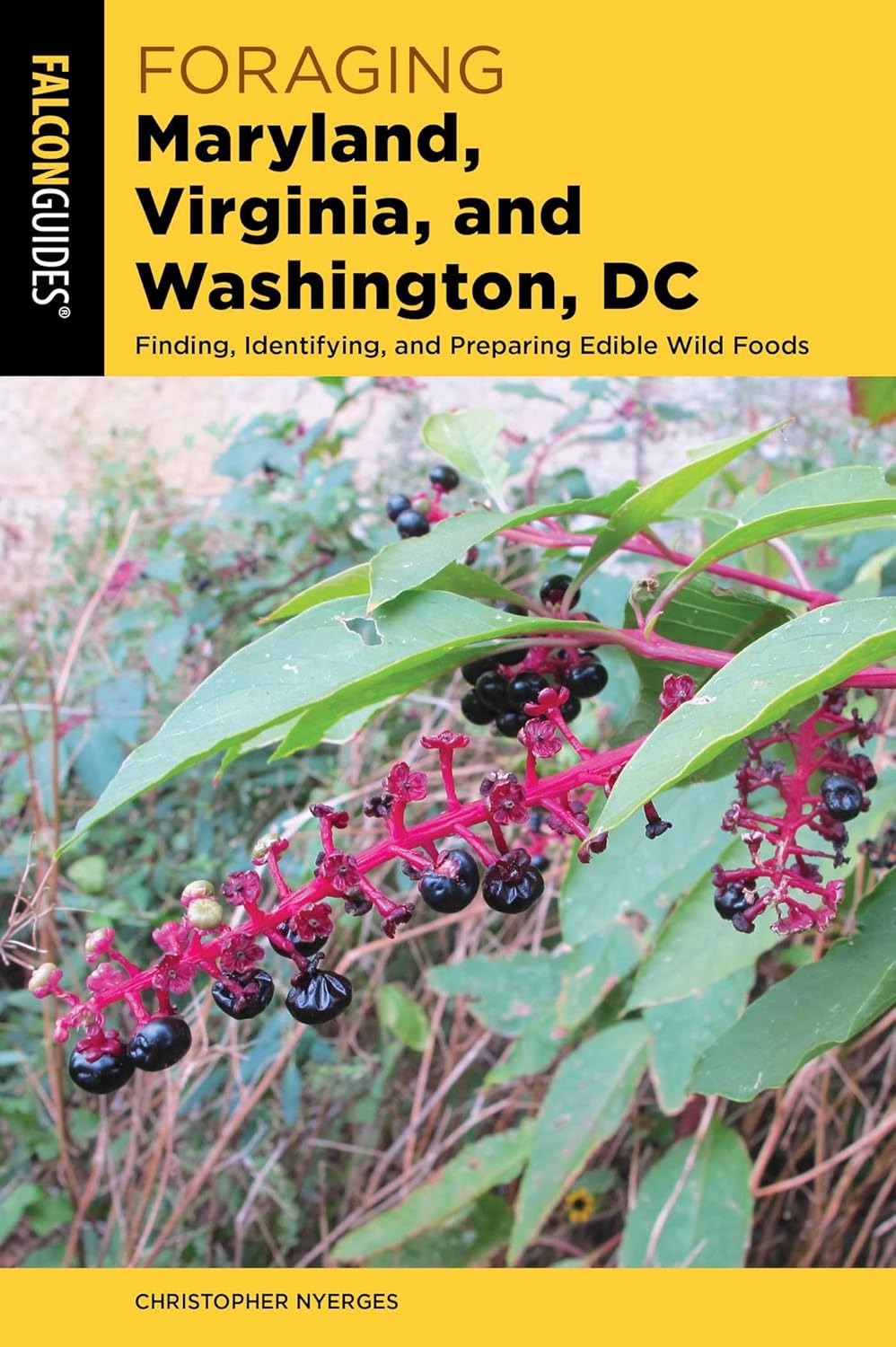 Foraging Maryland, Virginia, and Washington, DC (Foraging Series)