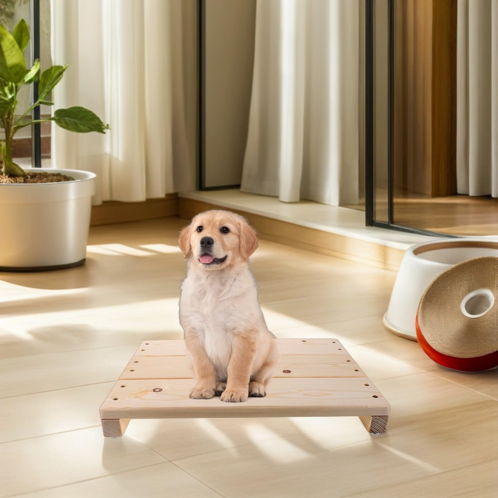 GANAZONO Tablero de Entrenamiento para Perros con Plataforma Antideslizante de Madera, Tamaño Pequeño, Equipo de Agilidad para Cachorros, Accesorio Seguro para Adiestramiento en