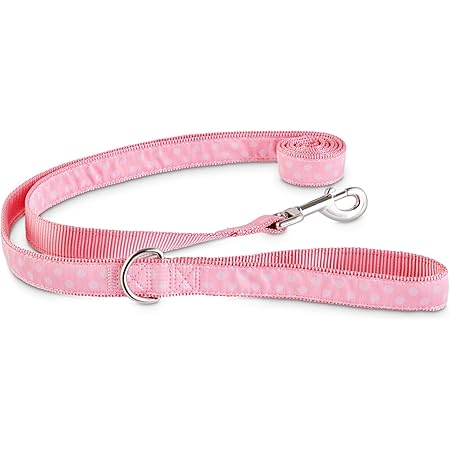 slip leash petco