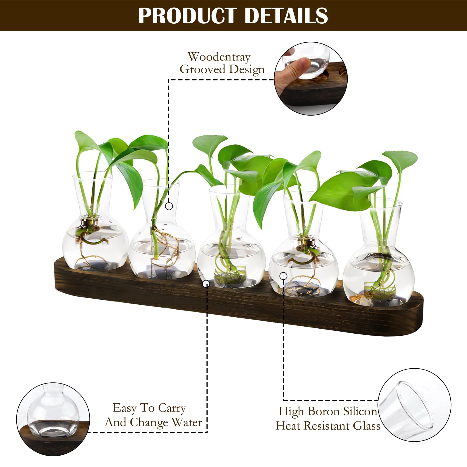 Stations de Propagation de Plantes avec Support en Bois, Lot de 5 Pots de Fleurs en Verre, Terrarium en Verre pour Plantes hydroponiques, Cadeau de Maman pour la Maison et Le Bureau