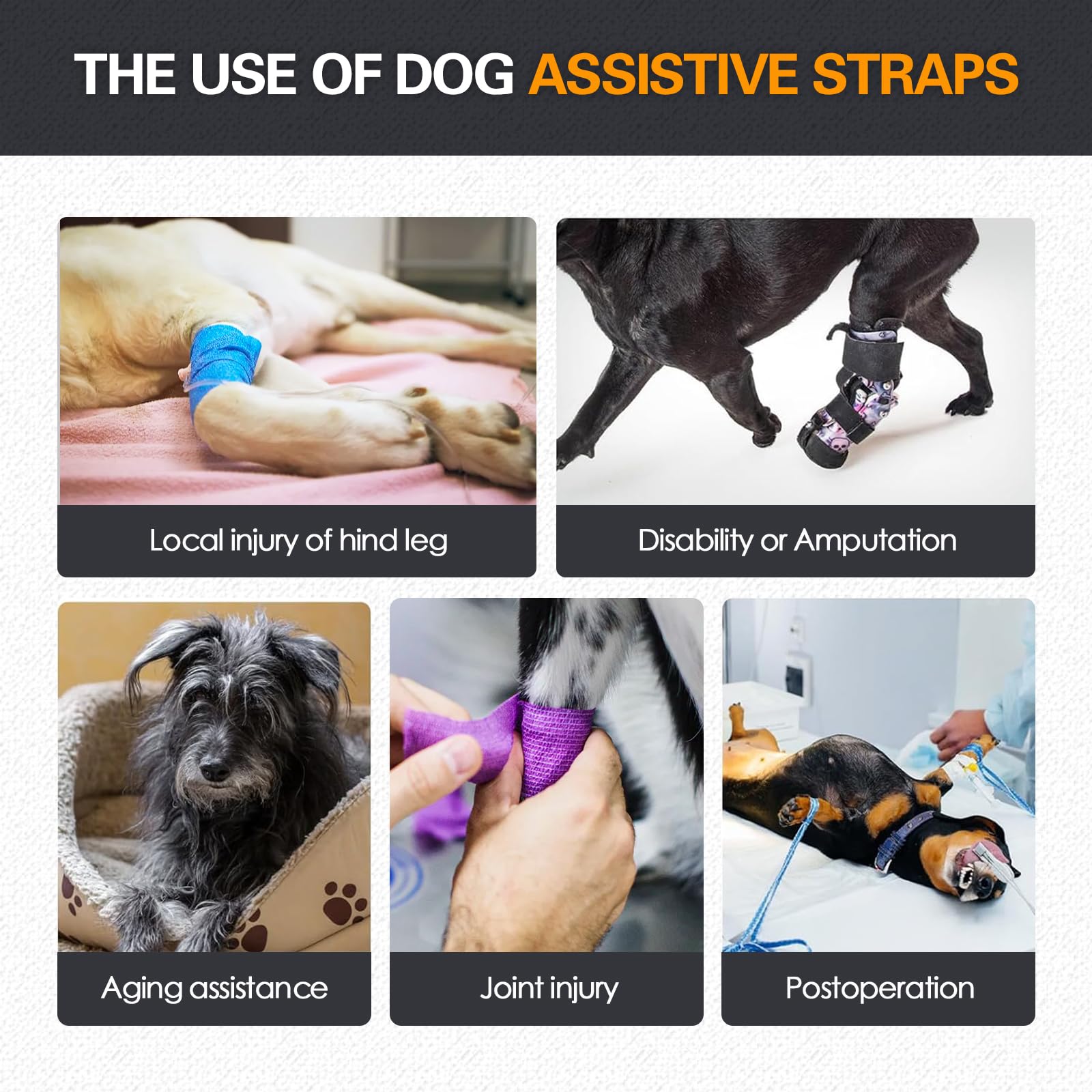 Arnés de elevación para perros, soporte de cadera para displasia de cadera, arnés de soporte para mascotas para patas traseras para perros pequeños y medianos, talla M