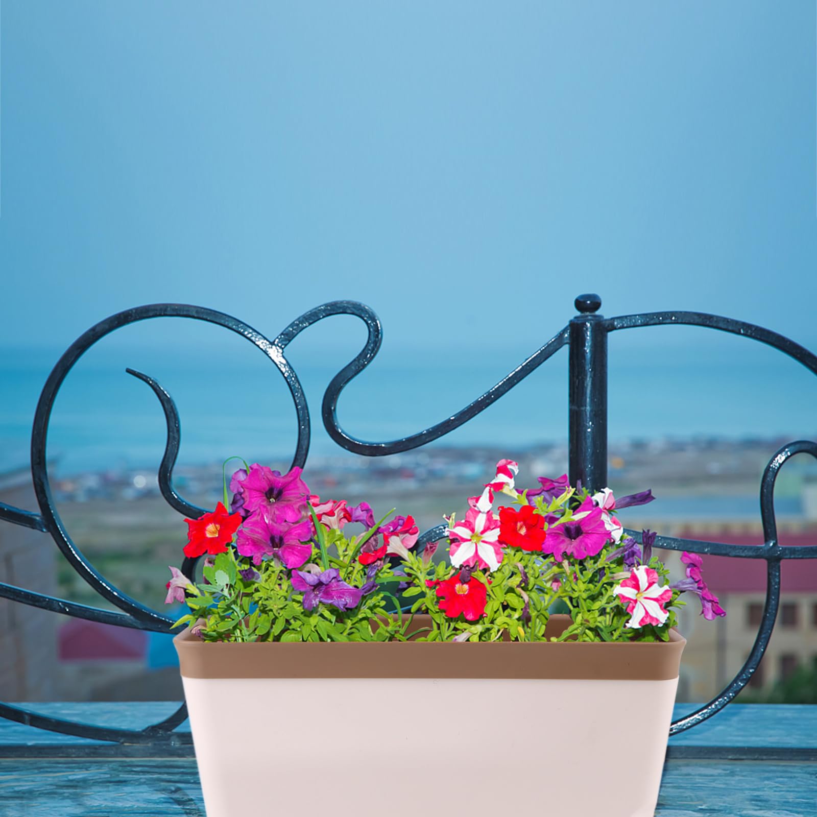 Lot de 6 jardinières d'intérieur pour rebord de fenêtre
