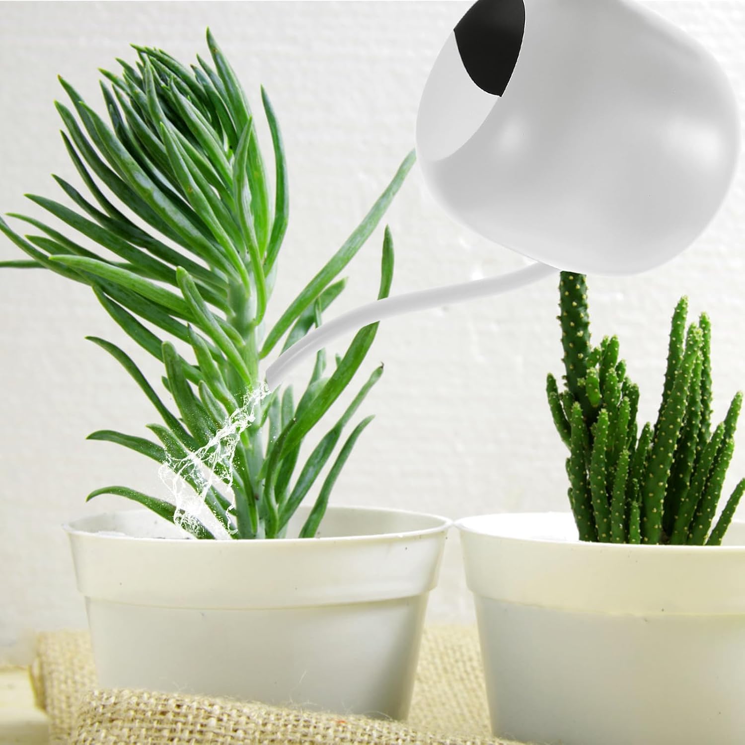 Generic Long Spout Watering Can Stainless Steel Indoor and Outdoor Watering Pot 1200ml with Wood Handle for Houseplants and Garden Planting