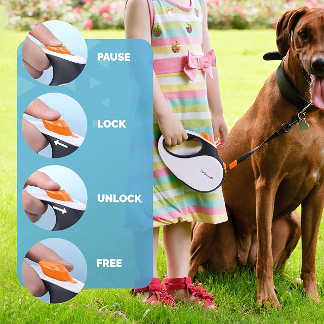 Foto 6 de 7 de FurDreams Correa retráctil para perro - Correa extensible de alta resistencia (5M)