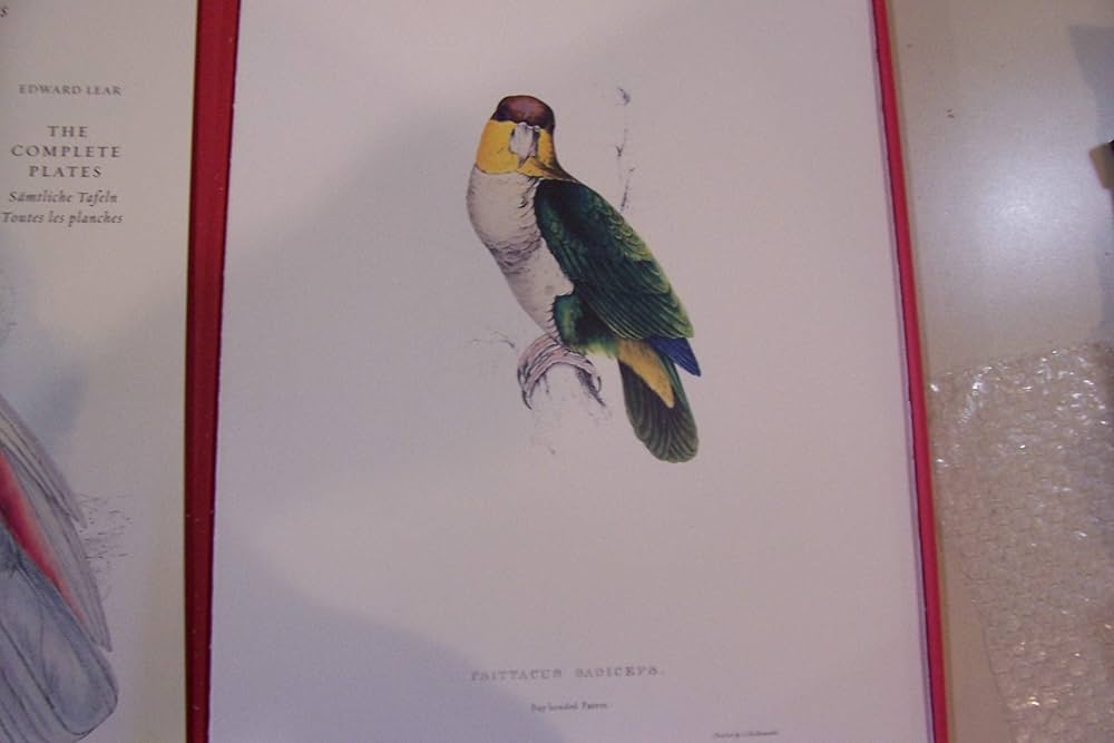 希少 The Parrots Die Papageien 鳥 コレクター 画集 The Parrots, Die Papageien - Les Perroquets: The Complete Plates