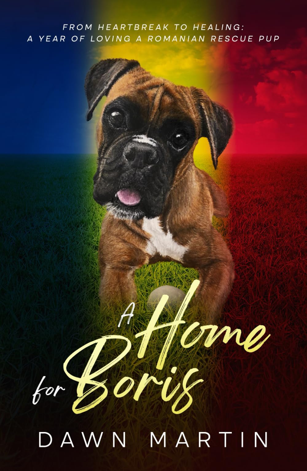 A Home For Boris: From heartbreak to healing: A year of loving a Romanian Rescue Pup