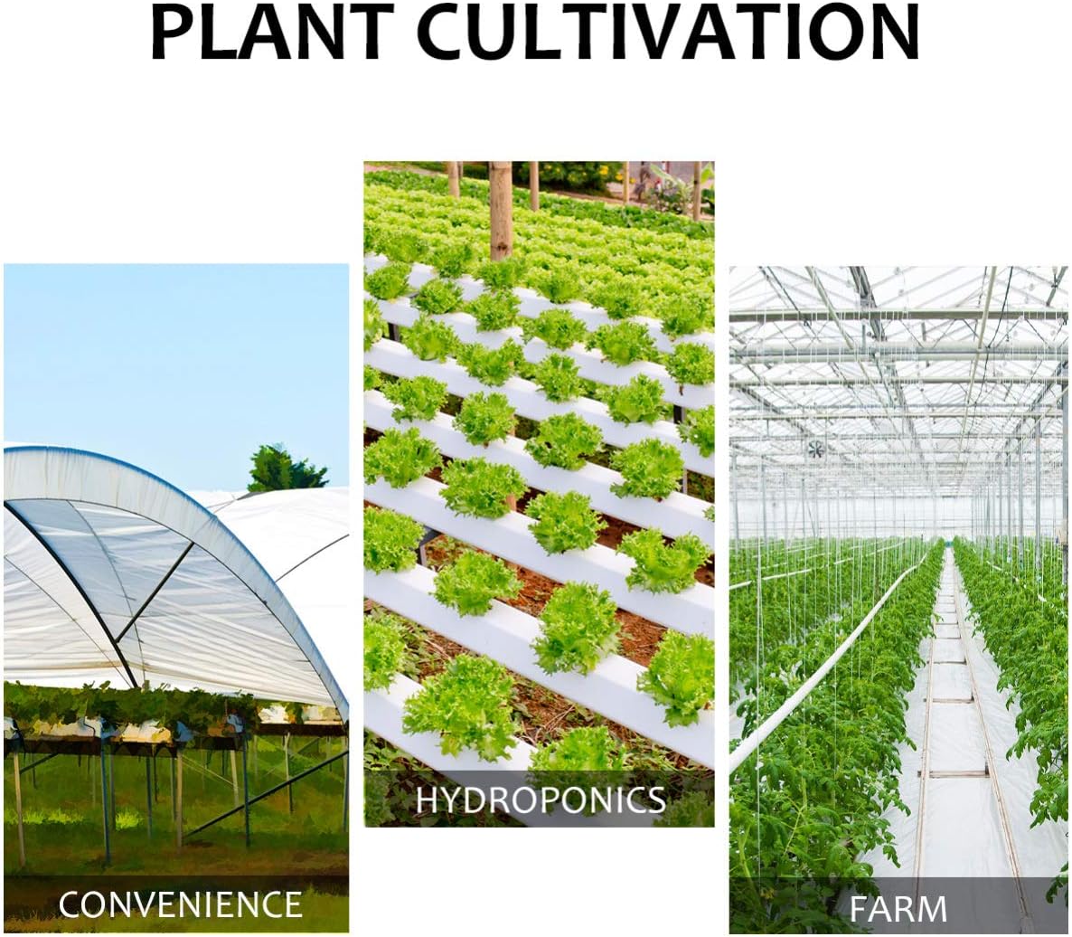 Happyyami Plant Growing Tray Plastic Seedling Germination Tray Nursery Plants Microgreens Wheatgrass Grower Propagator for Soybean Hydroponic Greenhouse Growing : Patio, Lawn & Garden