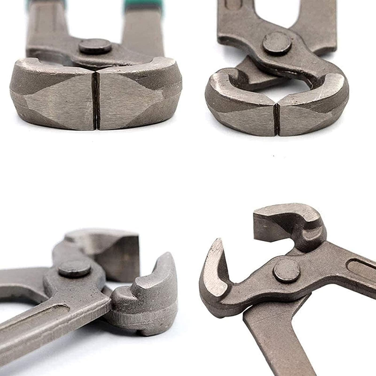 Cisailles à Sabots Pour Chevaux Et Bovins - Lame Acier Inox, Manche Bois - 19.5 Cm - Soin Sabots - 6