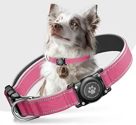 Coleira Airtag para cães - 100% à prova d'água, refletiva, acolchoada macia, coleira GPS duradoura para cães pequenos a grandes (rosa choque, GG)