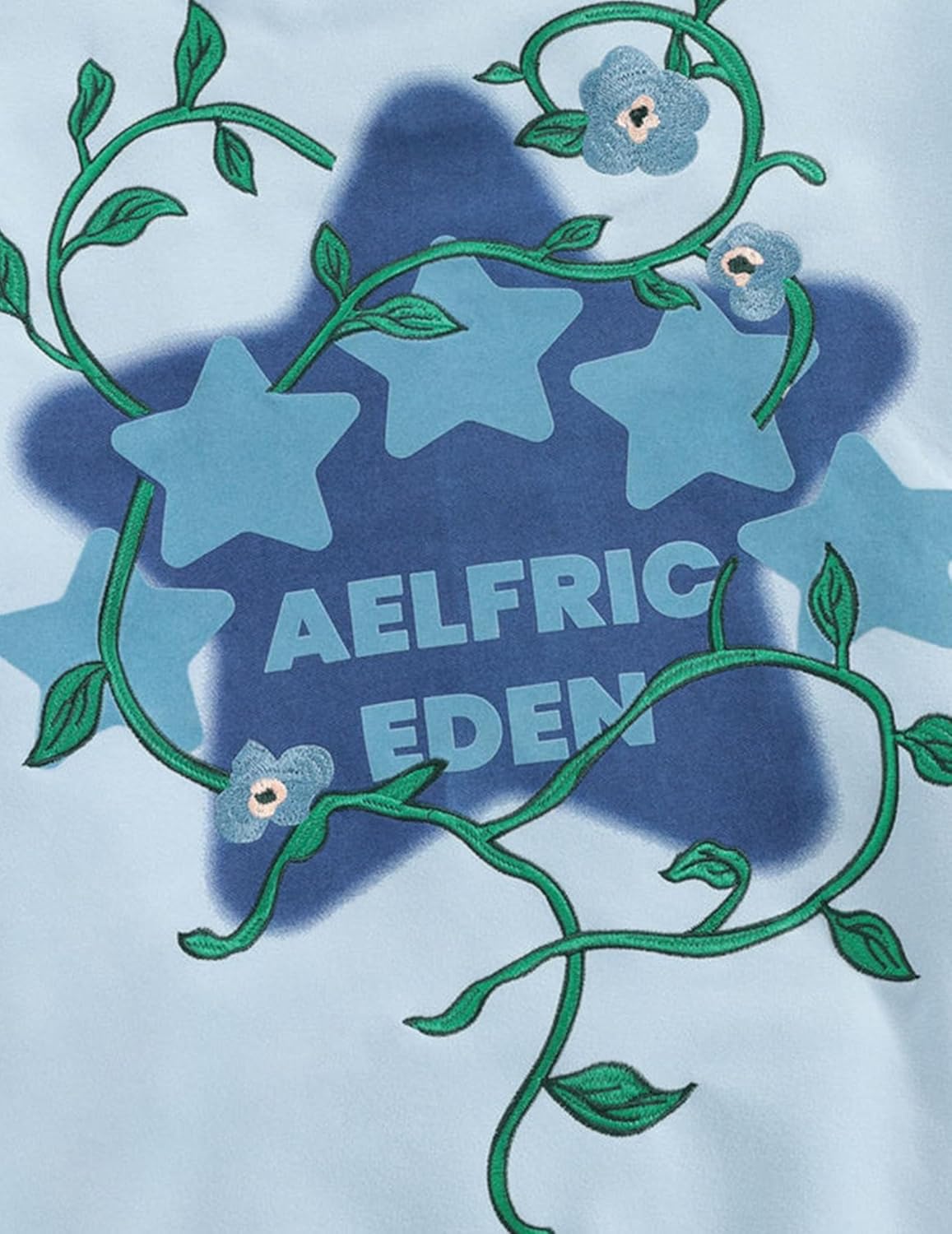 Aelfric Eden Floral Eden Star Pullover Hoodie Embroidery Graphic Hoodies Y2K Oversized Hooded Sweatshirt - Image 5