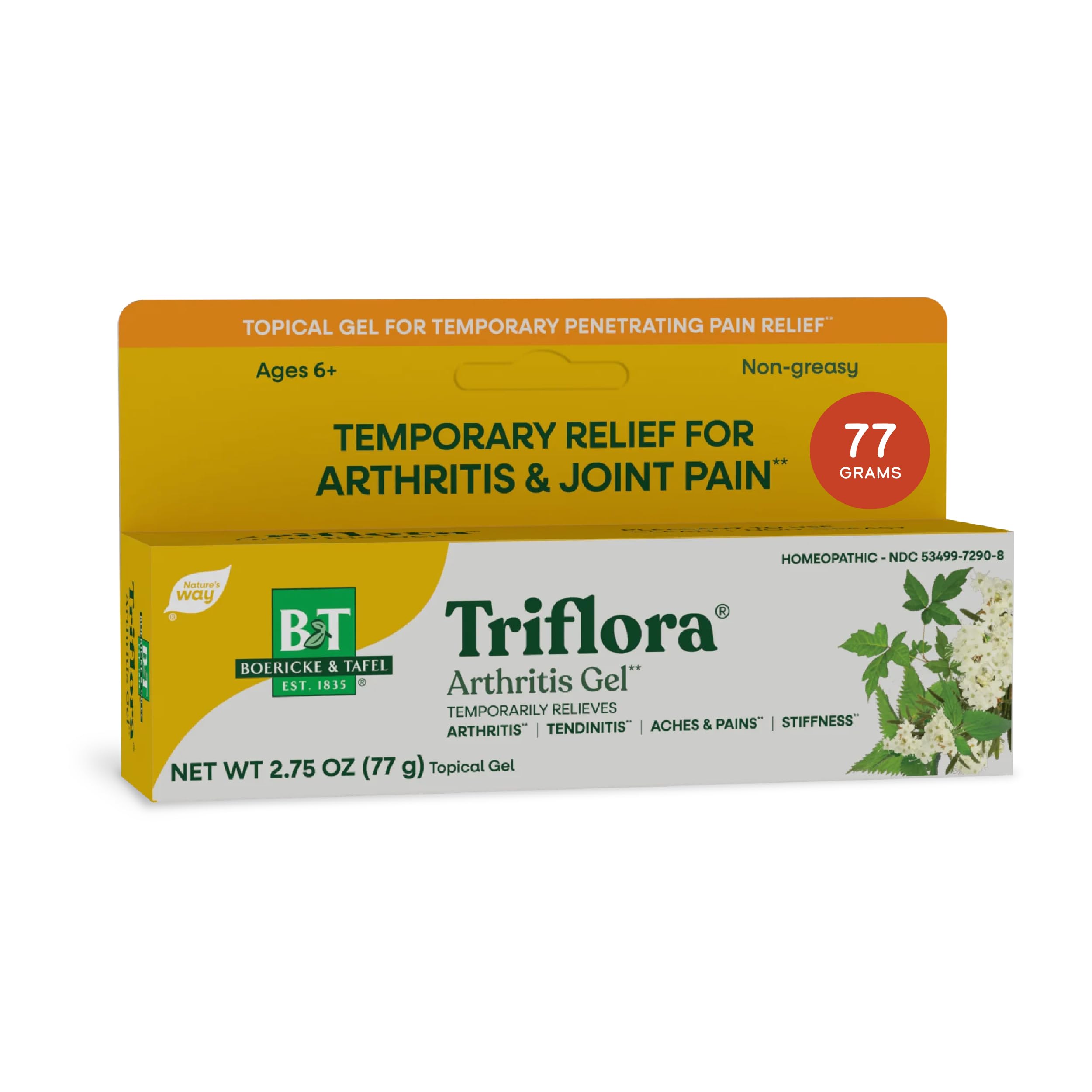 Nature's Way Boericke & Tafel Triflora Gel, Arthritis Cream, 2.75 oz