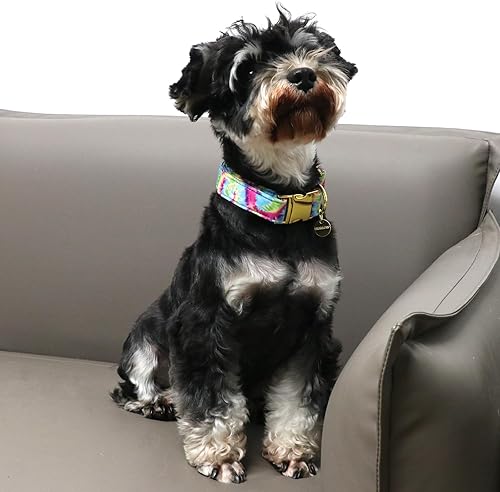 Miniatura 4 de Collar de algodón de verano con hebilla de metal, collar de regalo para niñas o niños pequeños, medianos y grandes, lindos collares duraderos y