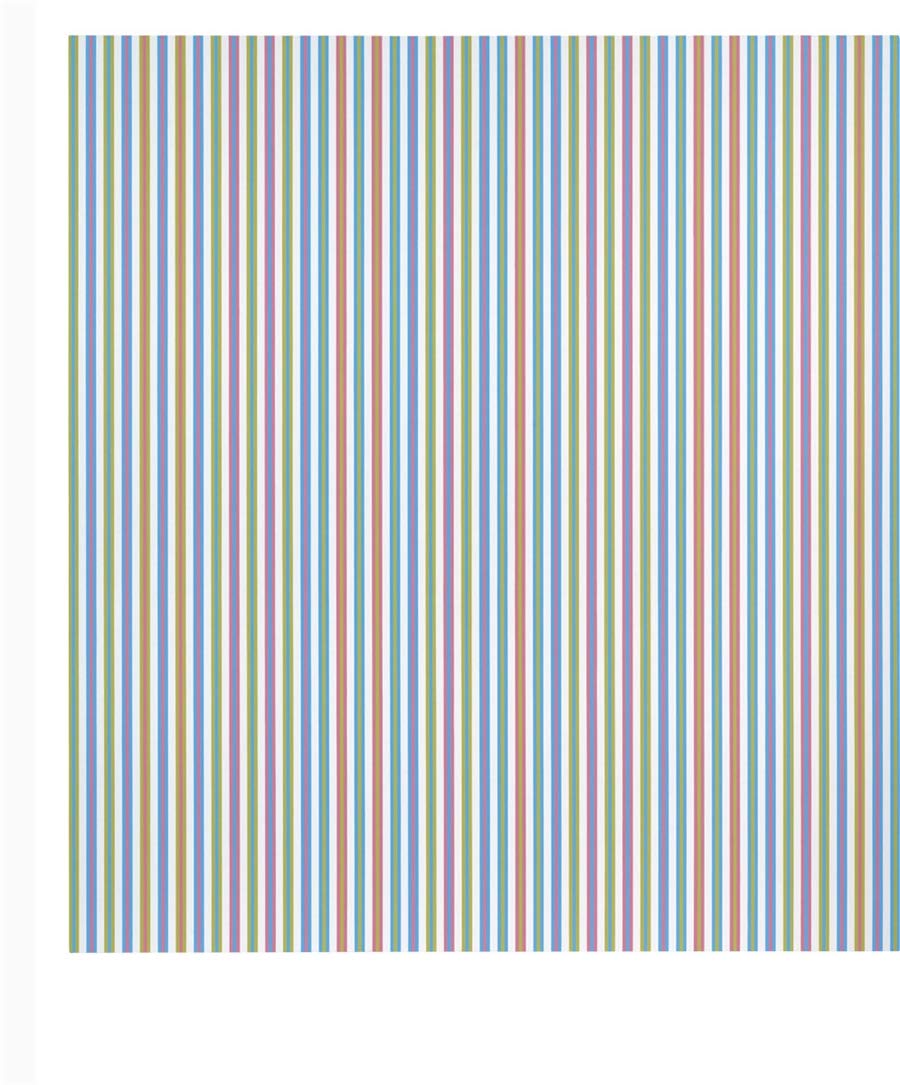 Bridget Riley HARDBACK 9780989980975