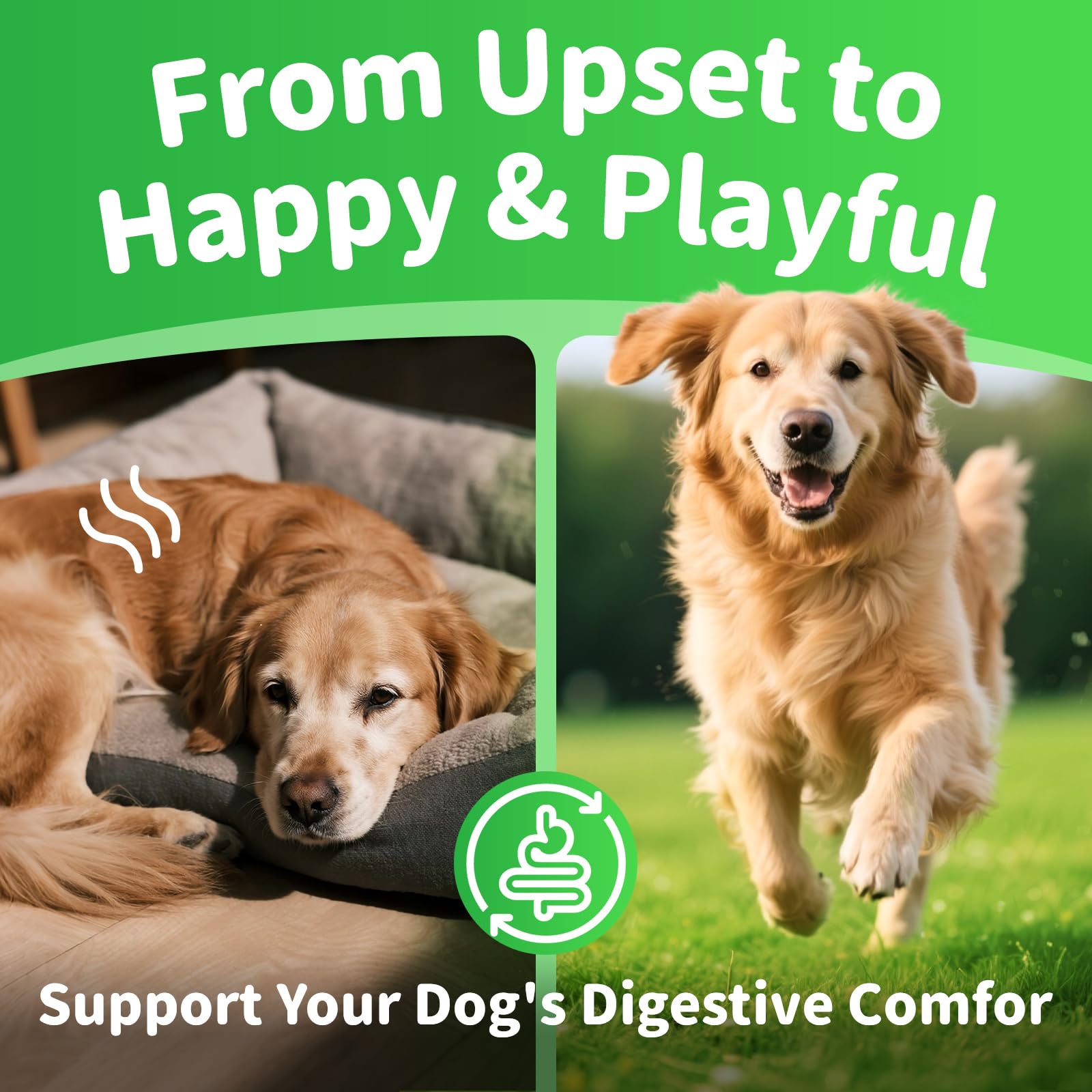 POPPAW Dog Probiotics & Digestive Enzymes – Pumpkin Fiber Chews for Gut Health, Diarrhea & Upset Stomach Relief, Gas & Stool Support, Beef Flavor Soft Chews – 90 Count - image 3