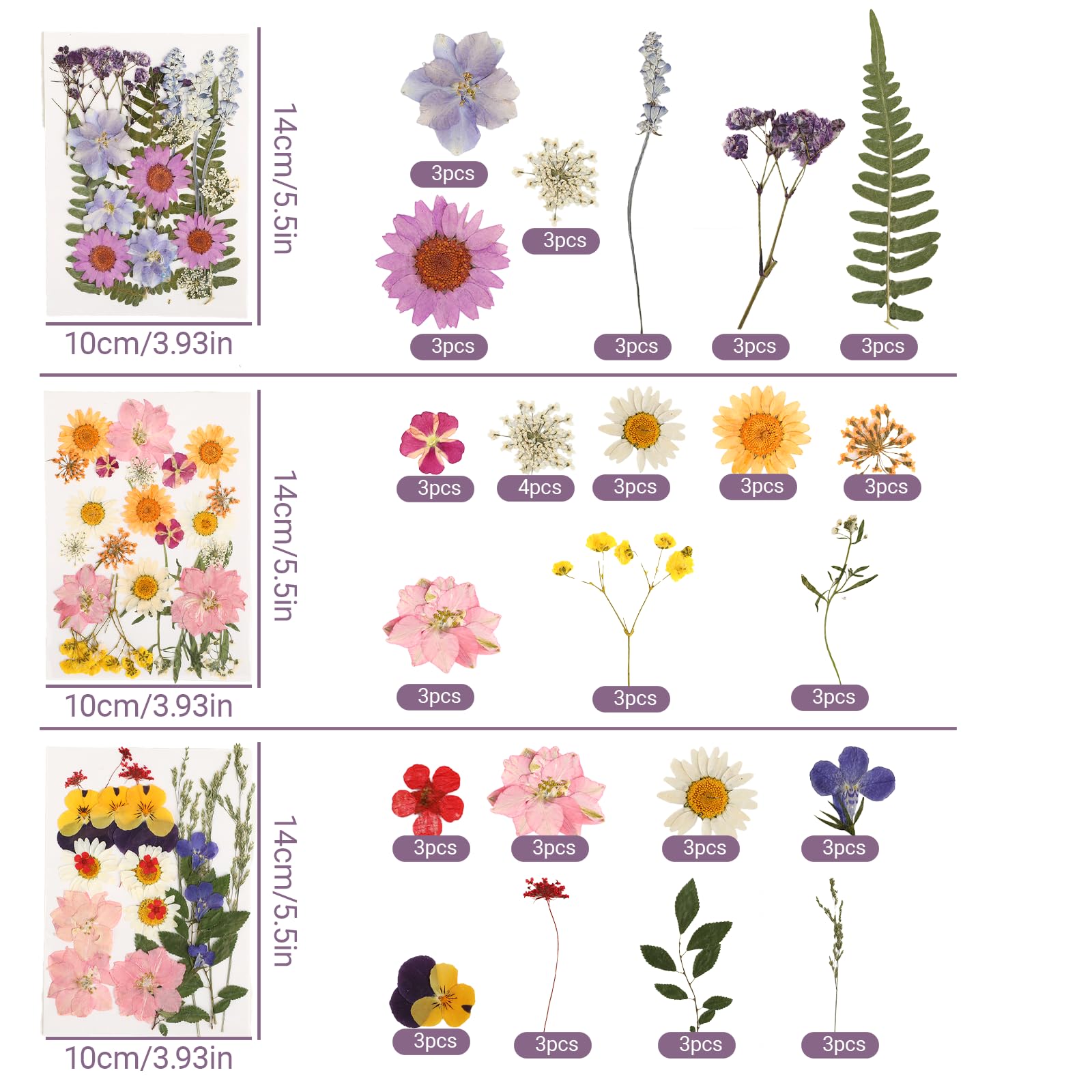 Suszone kwiaty zestaw, 66 sztuk prasowanych kwiatów i suszonych kwiatów, suszone kwiaty do robótek na świece DIY, żywica, biżuteria, małe suszone kwiaty do scrapbookingu i dekoracji.