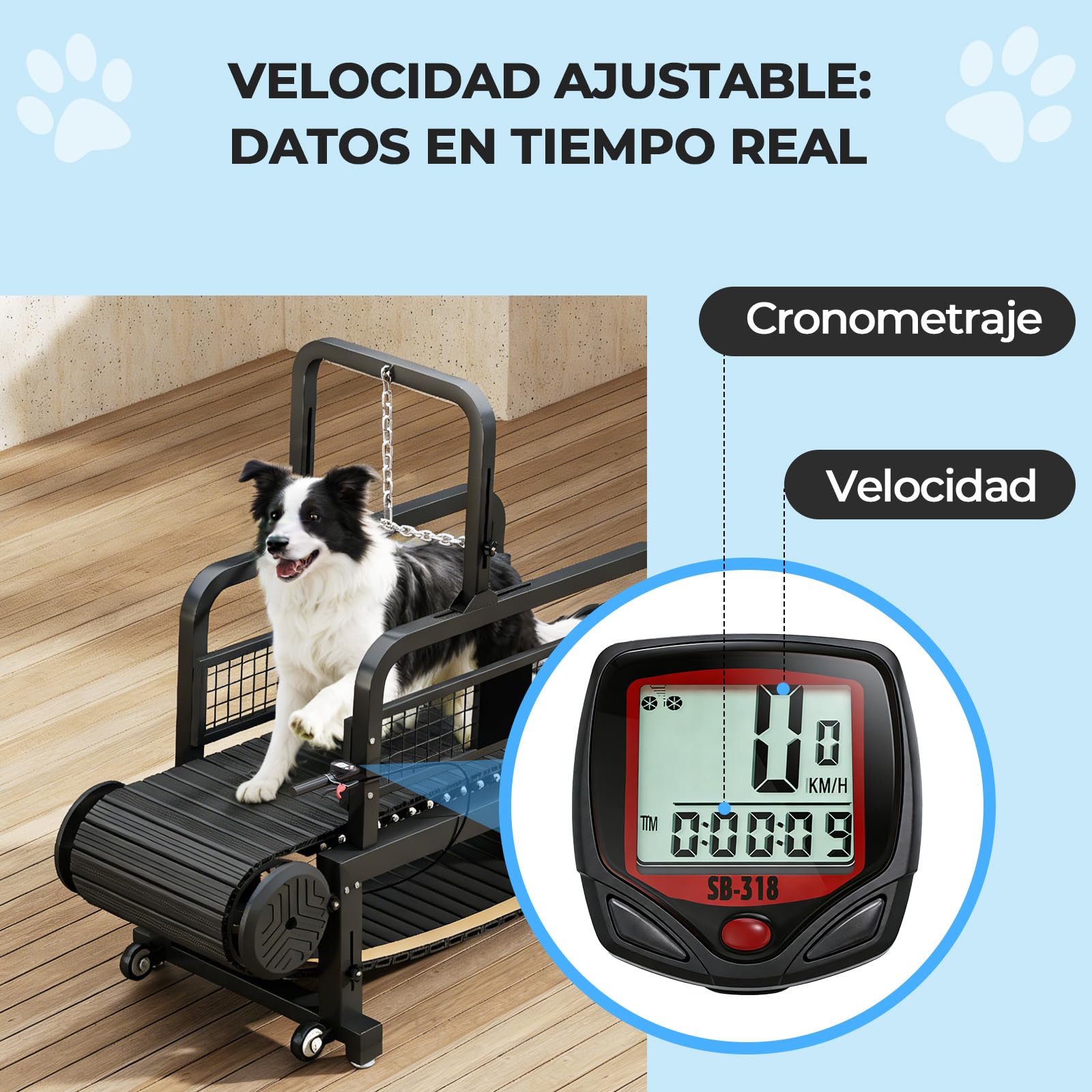 RiveraSink Cinta de Correr para Perros Slatmill Autopropulsada, Caminadora para Perros Medianos y Grandes, con Freno Manual, Capacidad 200 kg, Banda de Carrera 170×50 cm, Silenciosa para Interior
