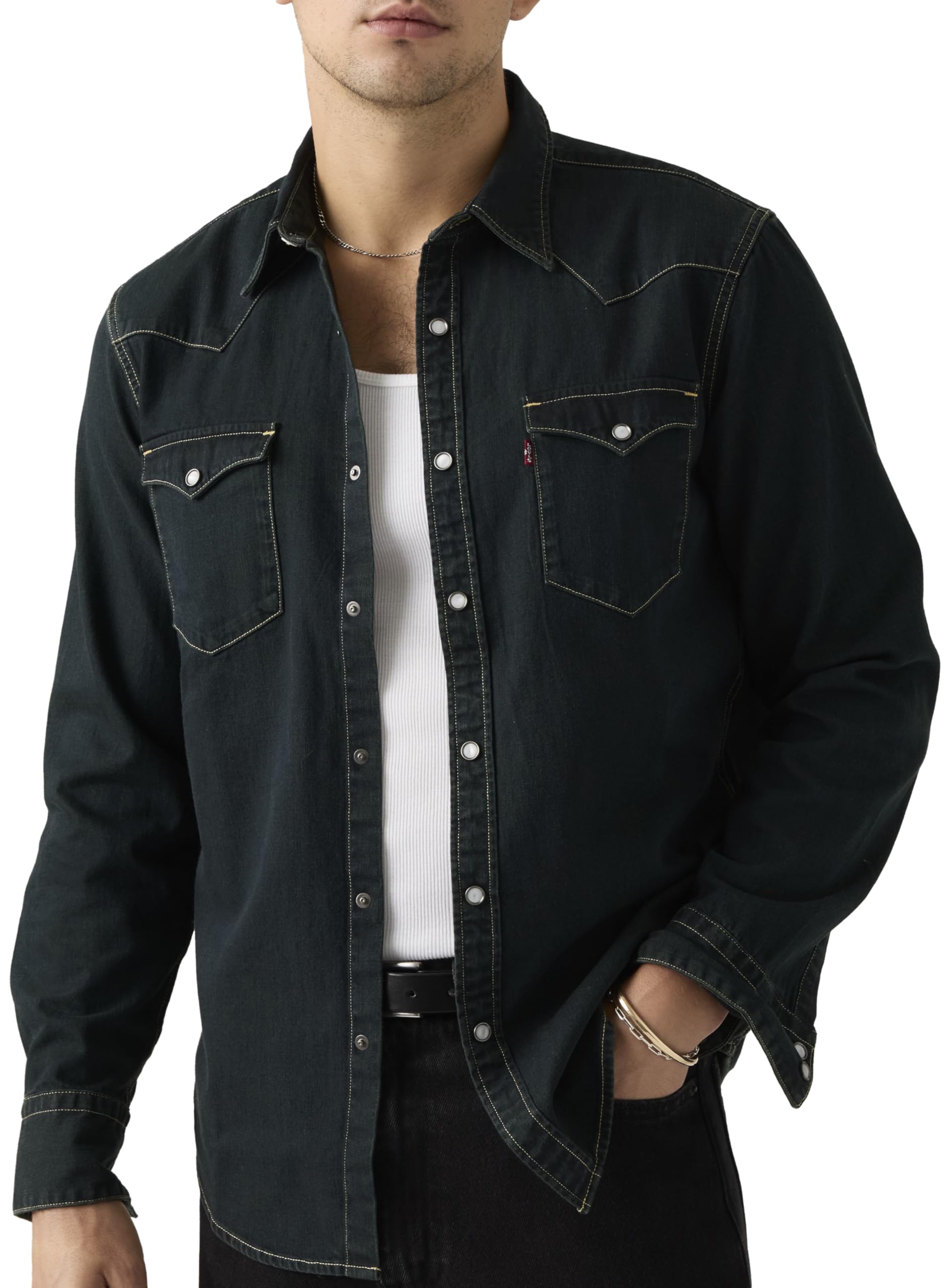 Levi's Barstow Western standardowa koszula męska, Piękny popiół sprany, L