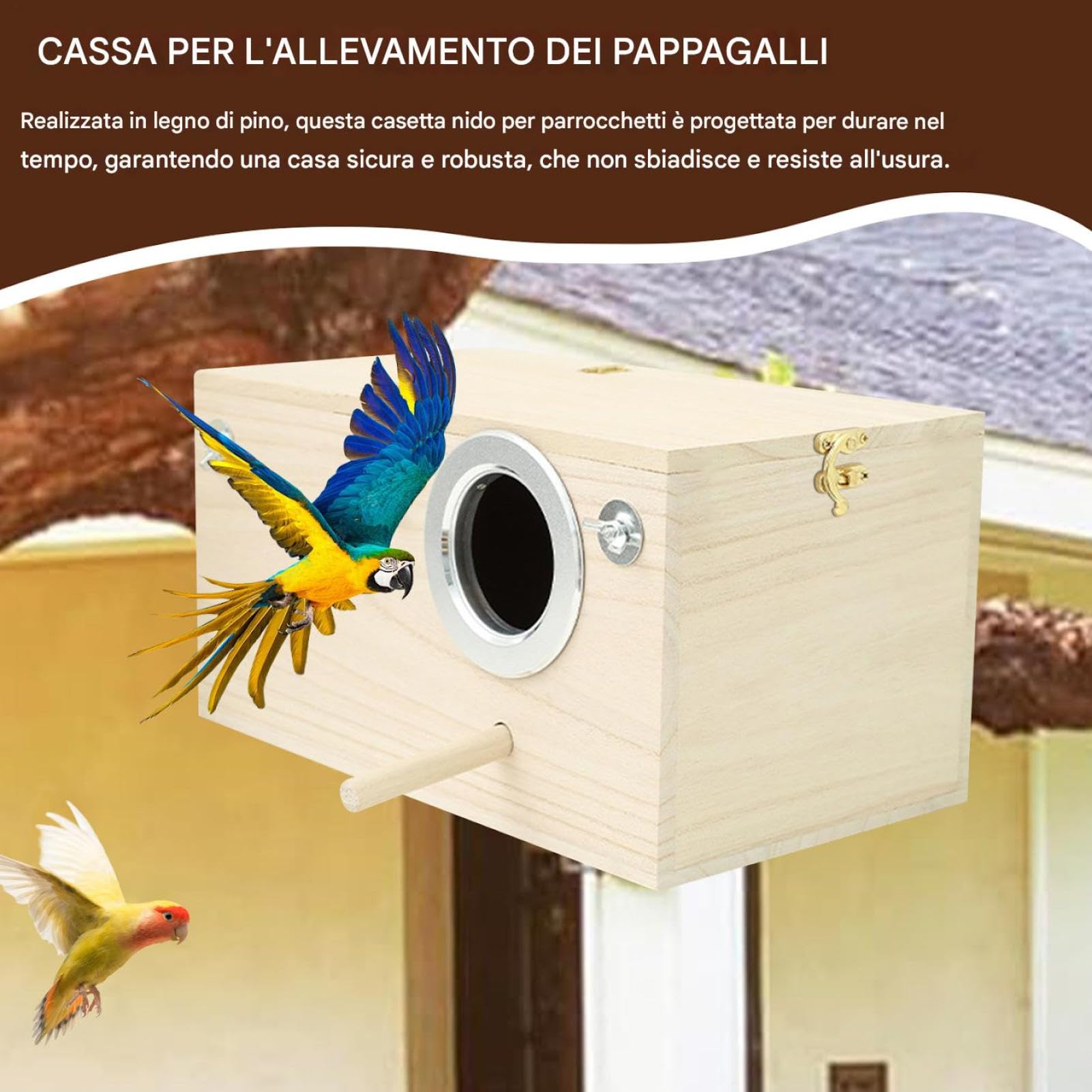 Cassetta per nidificazione per parrocchetti - Cassetta per allevamento in legno per parrocchetti - Cassette per nidi per | per piccioncini, pappagallini, pappagalli, accoppiamento, allevamento