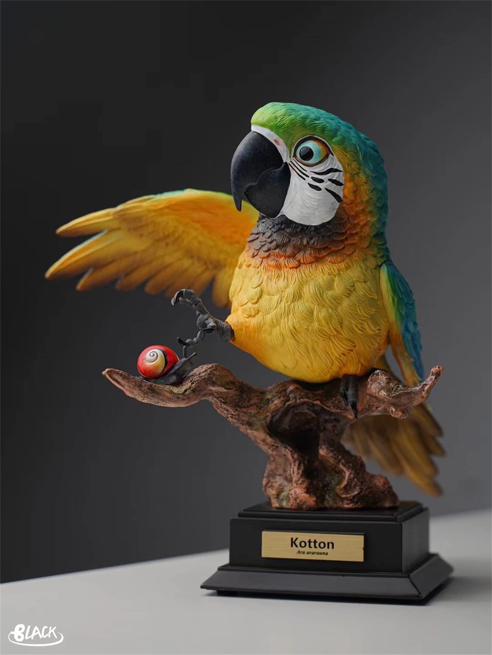 Amazon.co.jp: BACALYSO | オウム 鸚鵡 限定版 ルリコンゴウインコ