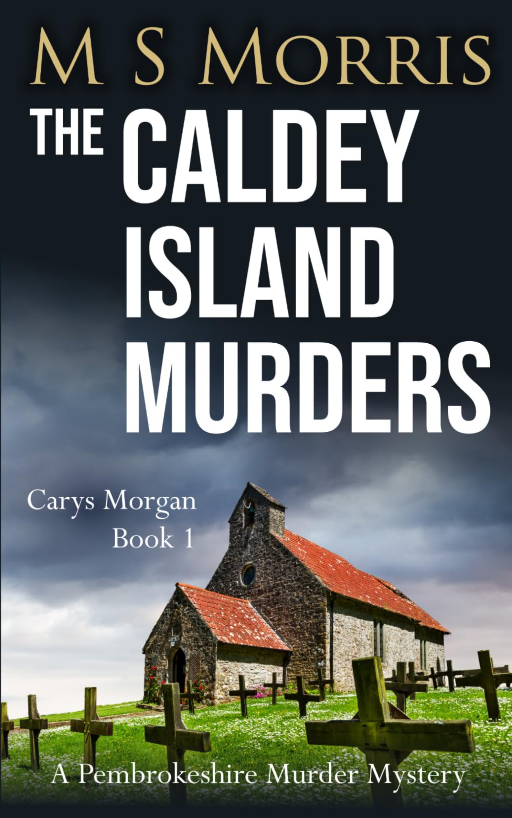 The Caldey Island Murders: A Pembrokeshire Murder Mystery: 1 (Carys Morgan)
